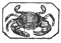 Zodiac Sign Cancer the Crab